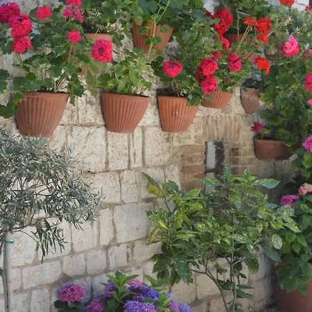 Casa Gentile 아파트 *