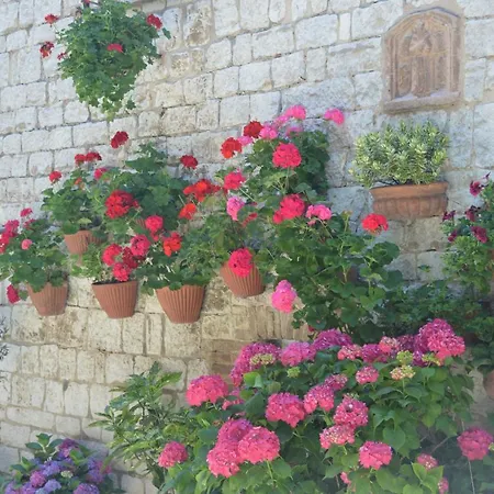 Casa Gentile Apartment