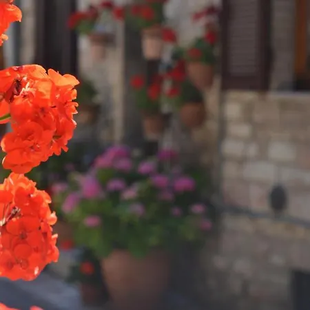 아파트 Casa Gentile